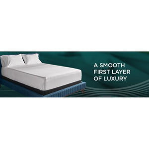 Linens - Tempur Luxe Egyptian Cotton Pillowcase Set - Sleepy Blue - King