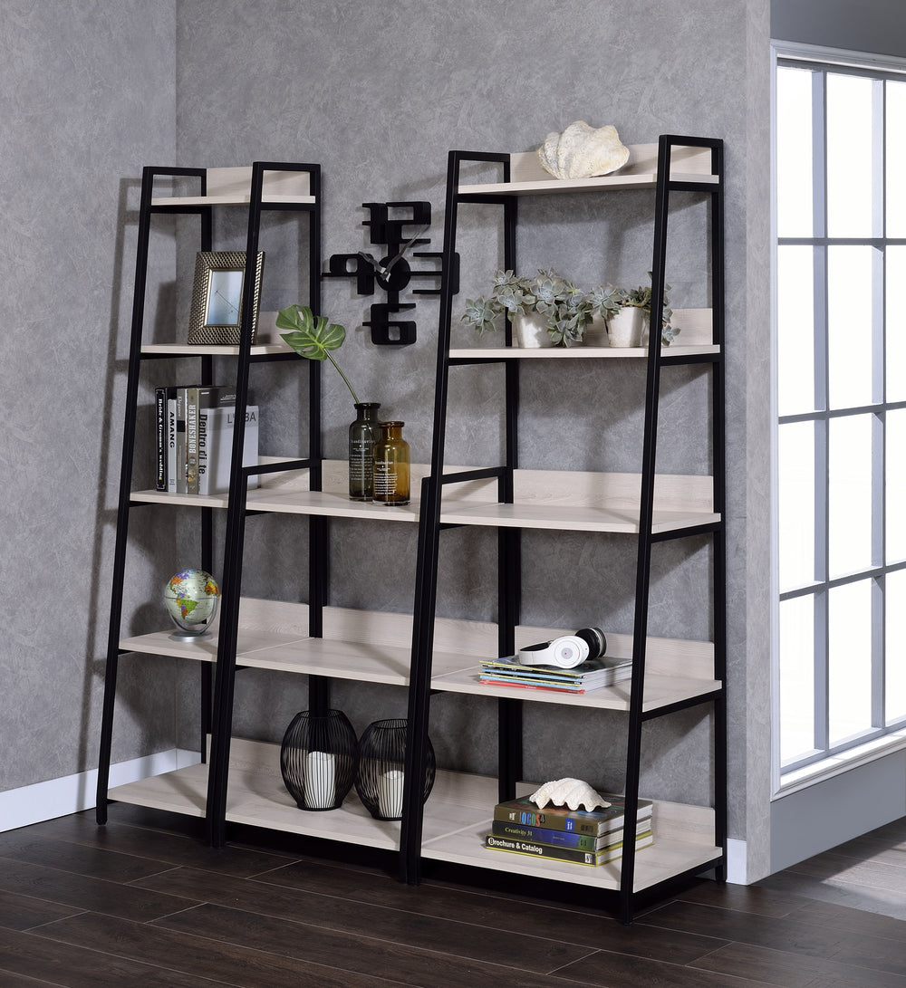 Combining simplicity with functionality, this Wendral bookshelf will sure to be an eye-catching piece in any home. Featuring a shelf storage system with a ladder-like appearance, each component is expertly crafted from the finest materials, including meta