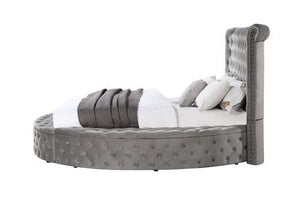 Gaiva - Eastern King Bed - Gray Velvet