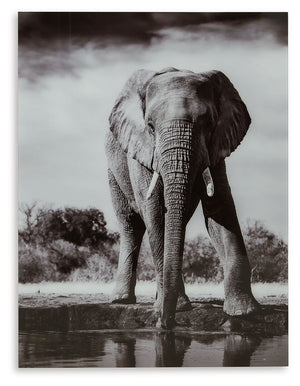 The elephant has long symbolized strength, intelligence and good luck. Celebrate this majestic creature and express your personality with this wall art. The black and white print on glass makes a bold and visually striking statement.<br/><br/><b>Product F
