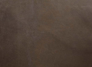 Oralia - Accent Chair - Saturn Top Grain Leather