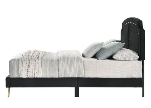 Zeena - Eastern King Bed - Black Velvet