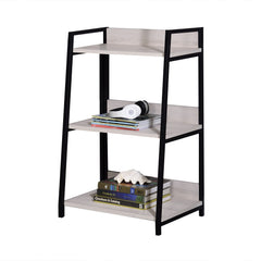 Combining simplicity with functionality, this Wendral bookshelf will sure to be an eye-catching piece in any home. Featuring a shelf storage system with a ladder-like appearance, each component is expertly crafted from the finest materials, including meta