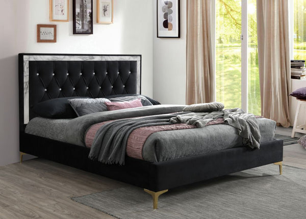 Rowan - Queen Bed - Black Fabric