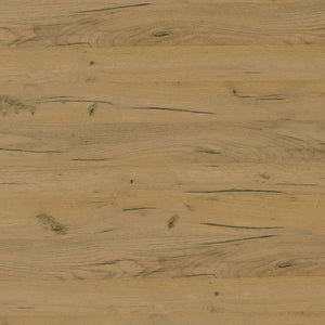  eco-friendly laminate veneer in a go