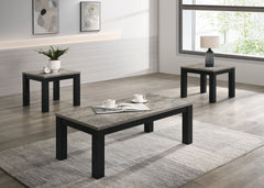 Enhance your living space with this contemporary cocktail table set, meticulously designed to infuse elegance into everyday living. The set features a robust coffee table and two matching end tables, each boasting a sleek, minimalistic design that seamles
