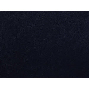 Aashi - Sofa - Navy Leather-Gel Match