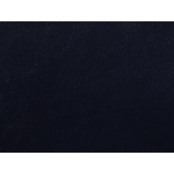 Aashi - Sofa - Navy Leather-Gel Match