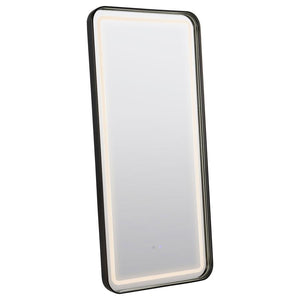  this mirror includes an 