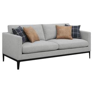 You and your loved ones will be lounging in style on this chic, comfortable sofa. With its understated, transitional design, it blends seamlessly with the decor of any living room. Soft, grey upholstery subtly plays up its simple silhouette. Two matching 