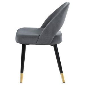 Lindsey - Upholstered Dining Side Chair (Set of 2) - Gray