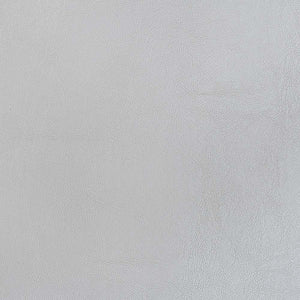 Valkyrie - Arm Chair (Set of 2) - Antique Platinum