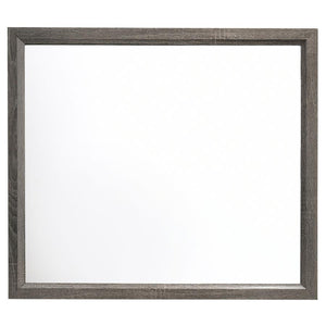  the frame showcases a light