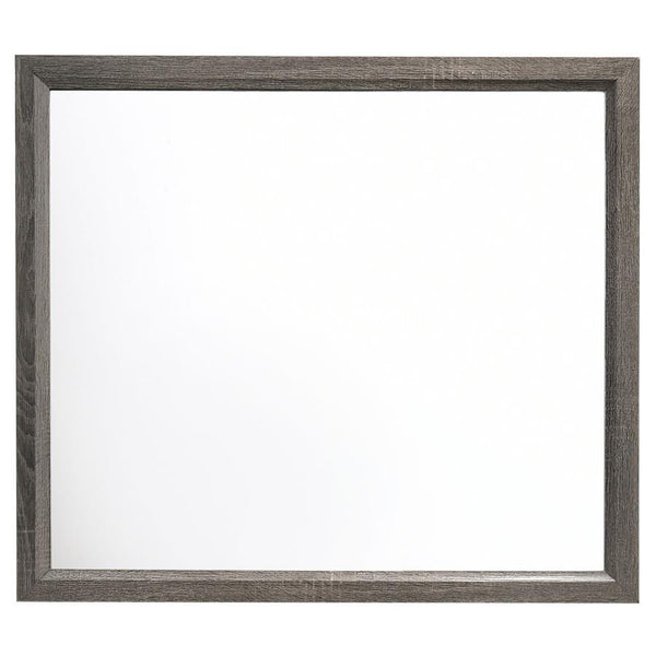  the frame showcases a light