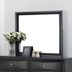The Ireland contemporary mirror in Black is the perfect accent for your master bedroom. The Ireland collection features contemporary feel and the mirror helps to make small areas appear larger and more brightly lit.<br/><br/><b>Product Features</b><ul><li
