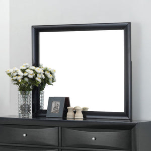 The Ireland contemporary mirror in Black is the perfect accent for your master bedroom. The Ireland collection features contemporary feel and the mirror helps to make small areas appear larger and more brightly lit.<br/><br/><b>Product Features</b><ul><li