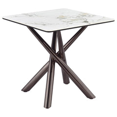 Elevate your living room style with this refined end table. Its sintered stone top layer, set over black tempered glass, exudes modern luxury. Supported by a steel asterisk base in a black nickel electroplated finish, this accent table embodies both sophi
