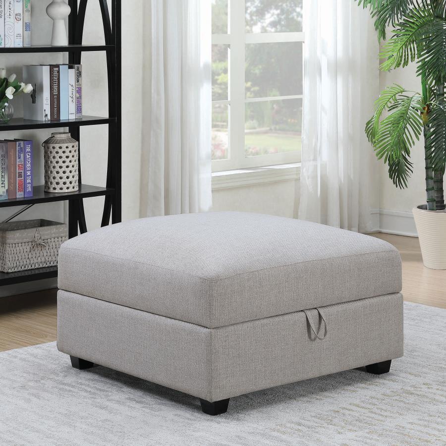 The coffee table stretches out with a confidence born of its mid-century modern heritage, flaunting a rectangular top that offers the luxurious look of marble without the weight. Its high-pressure laminate surface, infused with decorative faux marble lami