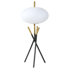 This table lamp offers a striking modern design with its unique tripod base and frosted globe-shaped shade. Crafted with a combination of sleek black and gold metal finishes, the lamp exudes elegance and contemporary charm. The frosted plastic shade provi