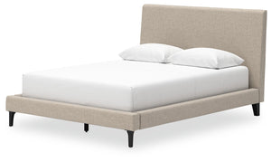 Cielden - Soft Gray - Queen Upholstered Bed with Roll Slats
