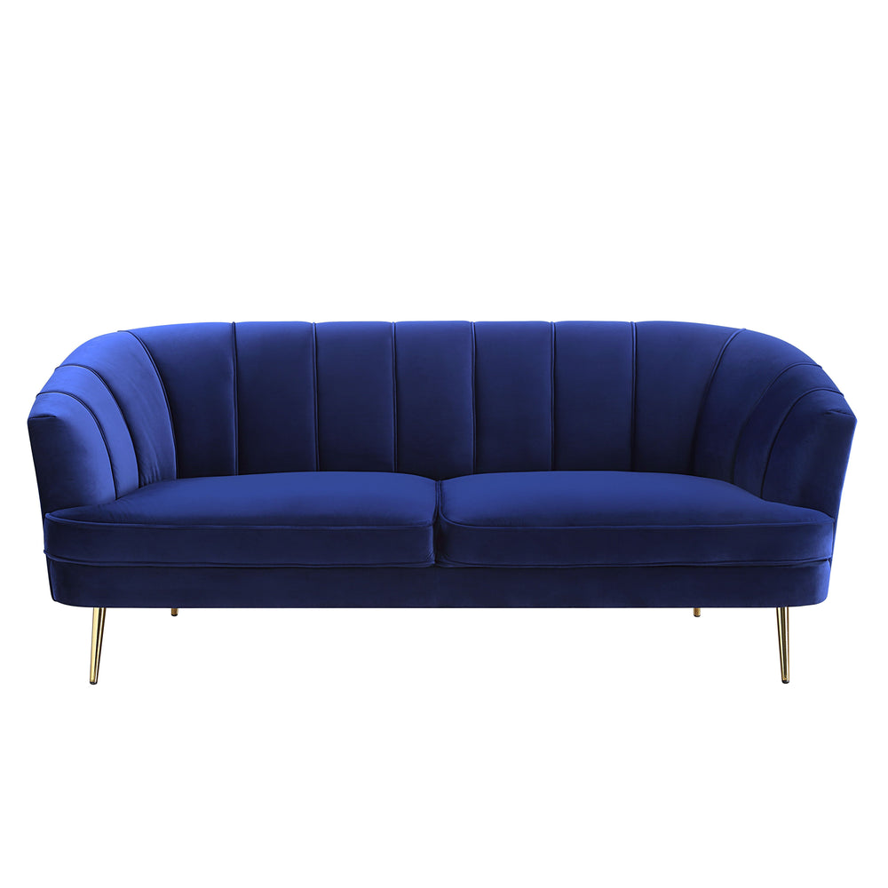 This Eivor trendsetting collection will add style and color to any room. The collection features soft feminine curves and channel tufting to create a modern home. Upholstered in a sumptuous blue velvet that is classy and bold. The metal legs and wooden in