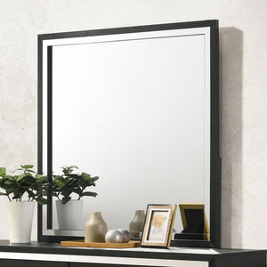  the mirror boasts a sleek