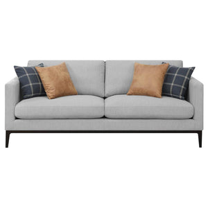  transitional design