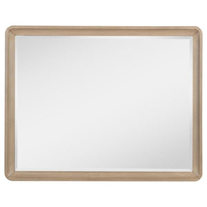  this mirror is a