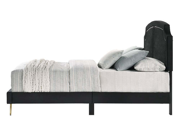 Zeena - Queen Bed - Black Velvet