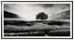 Filled with calming natural elements, this wall art has a refined look with a restful feel. It captures a landscape with rolling hills, drawing your eye to the tree standing tall in the center of the creation. Lighter tones in the clouds bring brightness 