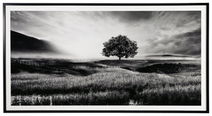 Filled with calming natural elements, this wall art has a refined look with a restful feel. It captures a landscape with rolling hills, drawing your eye to the tree standing tall in the center of the creation. Lighter tones in the clouds bring brightness 