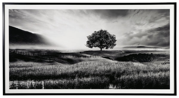 Filled with calming natural elements, this wall art has a refined look with a restful feel. It captures a landscape with rolling hills, drawing your eye to the tree standing tall in the center of the creation. Lighter tones in the clouds bring brightness 