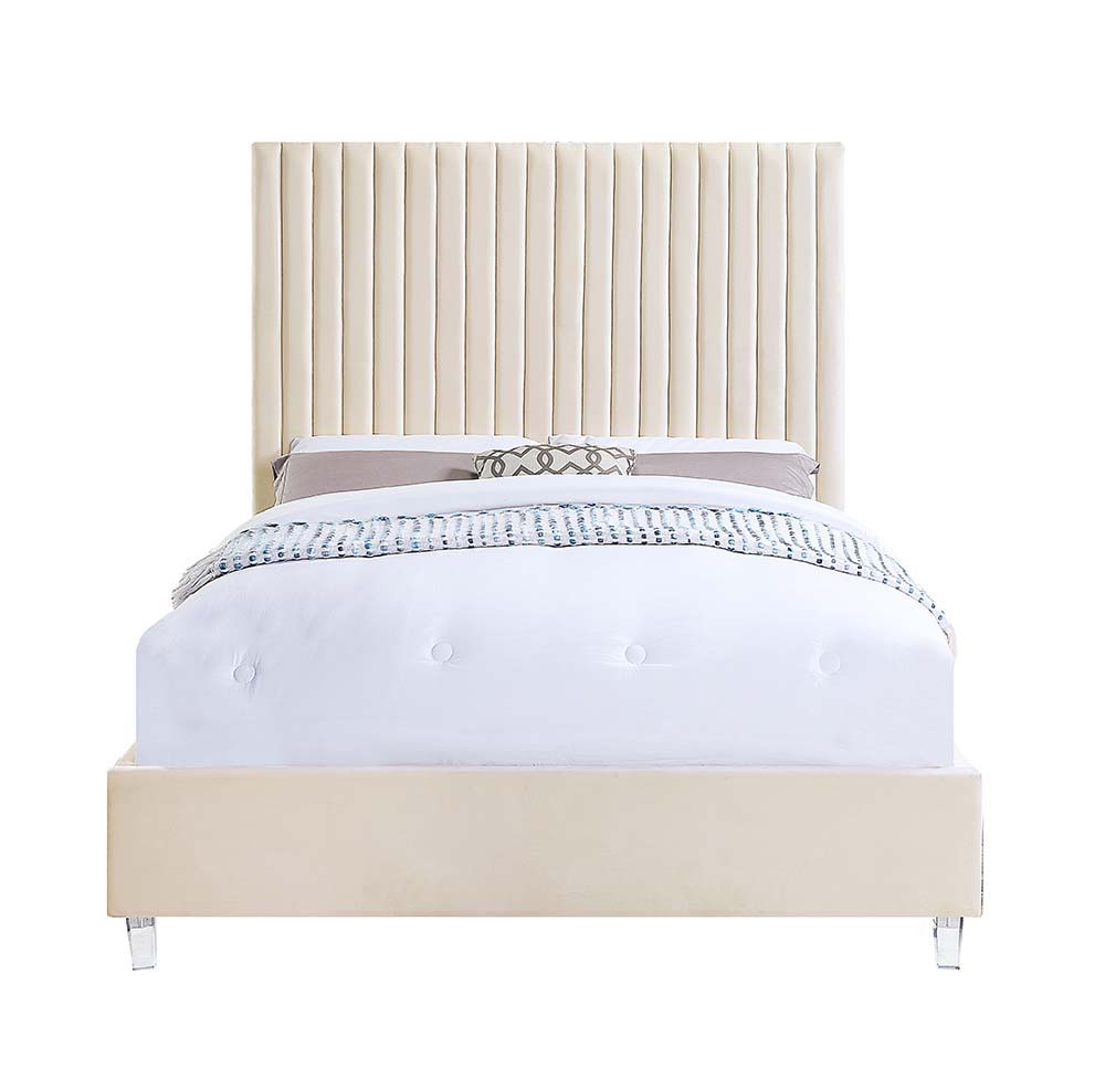 Dream in style and comfort with the Edzia bed. The on-trend channel tufting and glam acrylic legs are sure to give your bedroom that chic and stylish feel you are looking for. The neutral beige velvet upholstery will be the perfect blank canvas for any ro
