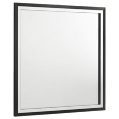 Put a glamorous finishing touch on your dresser with a modern framed mirror. Offering a polished touch of style, the mirror boasts a sleek, squared silhouette complete with a bold black finish. Gleaming chrome finish trim augments the front of the frame, 