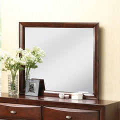 The Ireland contemporary mirror in espresso is the perfect accent for your master bedroom, the mirror in Espresso features contemporary feel helps to make small areas appear larger and more brightly lit.<br/><br/><b>Product Features</b><ul><li>Mirror Not 