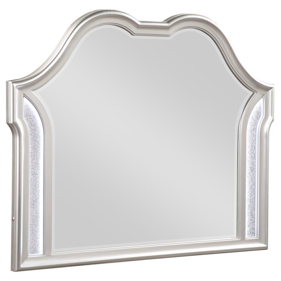 Create an instantaneous vanity setup with this elegant, glam, framed mirror. A double arched design crowns the top, offering curvaceous sweeping lines. The silver oak finished molded frame offers an eye-catching dimension that lends a stately presence whe