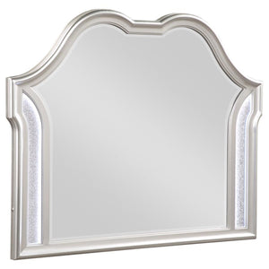 Create an instantaneous vanity setup with this elegant, glam, framed mirror. A double arched design crowns the top, offering curvaceous sweeping lines. The silver oak finished molded frame offers an eye-catching dimension that lends a stately presence whe