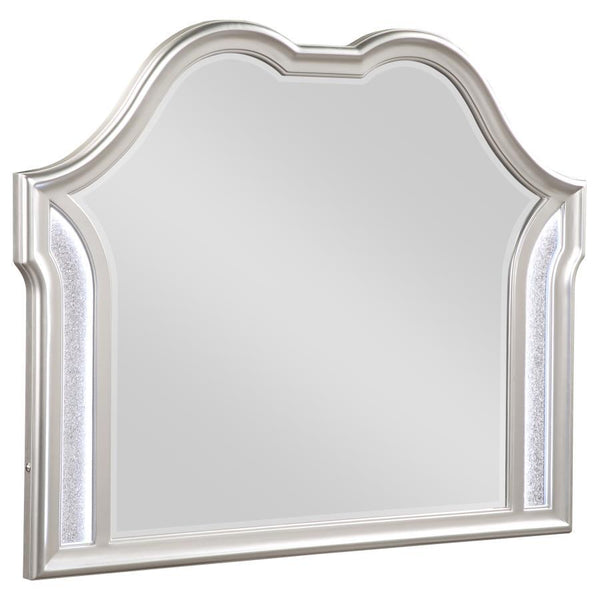 Create an instantaneous vanity setup with this elegant, glam, framed mirror. A double arched design crowns the top, offering curvaceous sweeping lines. The silver oak finished molded frame offers an eye-catching dimension that lends a stately presence whe