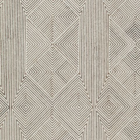Jadott - Beige / Brown - Large Rug
