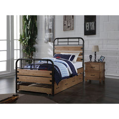 Drawing from tradition, the Adams youth bedroom collection will definitely anchor your home. The bed is constructed with metal frame with wood panels, featuring a clean yet stylish design. A trundle bed is available for space saving. This collection is th