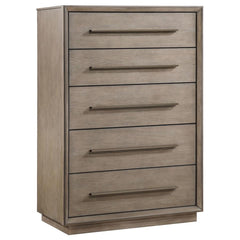 Add easy storage and understated style with a transitional five-drawer chest. Wood grain details show through a Taupe oak finish, creating a hint of dimension and organic character. Five spacious drawers provide ample storage for clothing and accessories.