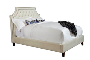 Jasmine - Champagne King Bed