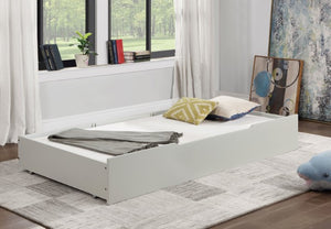 Lycorida Trundle/Drawer