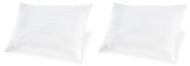 Zephyr 2.0 Cotton Pillow (Set of 2)(9/CS)