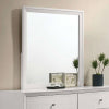 Dortmund Mirror
