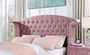 Zohar Queen Bed
