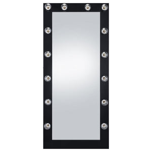 Zayan - Floor LED Lighting Black Gloss - Mirror