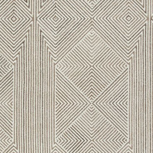 Jadott - Beige / Brown - Medium Rug