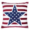 Texis Accent Pillow