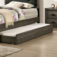 Roanne Trundle